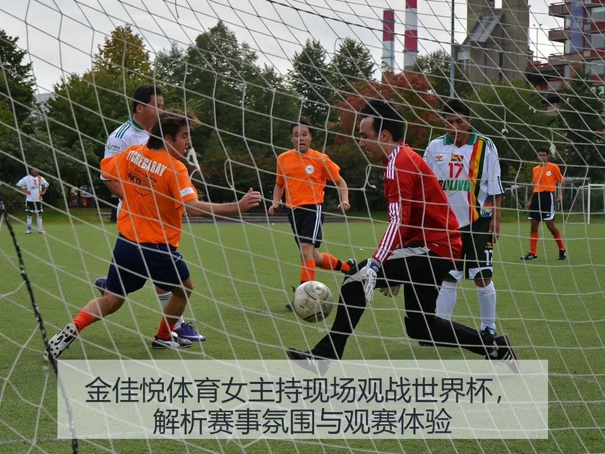 金佳悦体育女主持现场观战世界杯,解析赛事氛围与观赛体验
