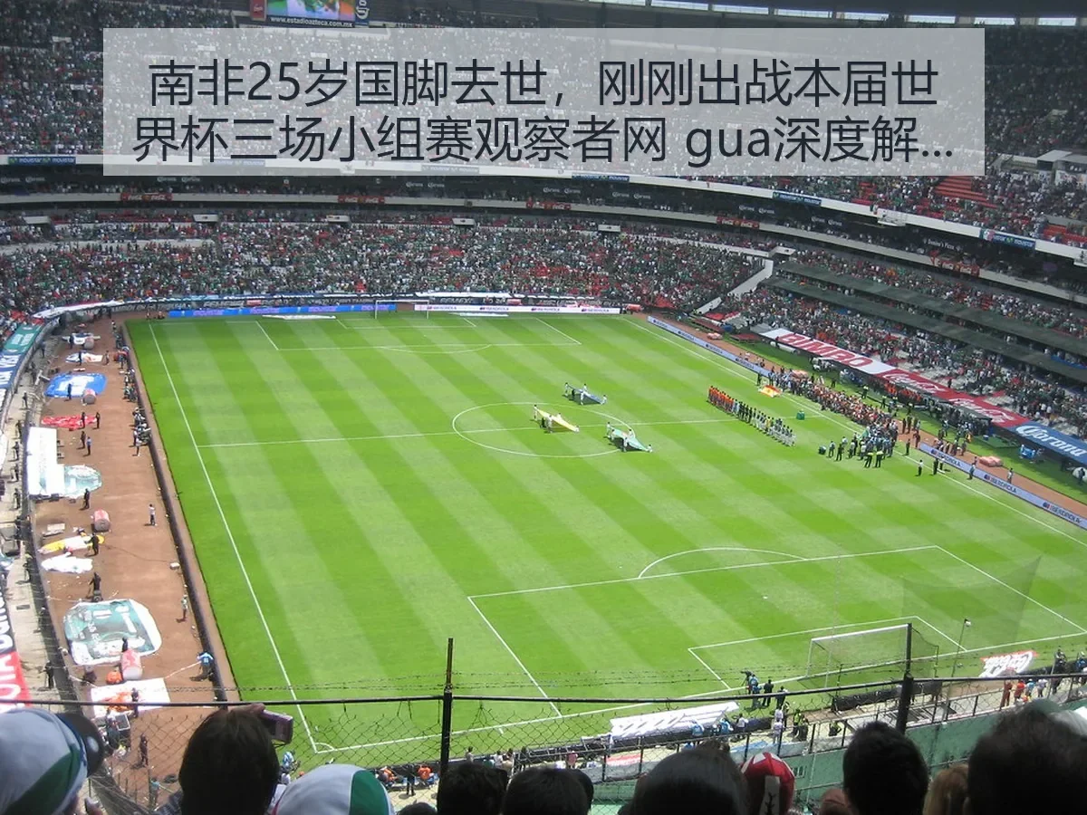 南非25岁国脚去世,刚刚出战本届世界杯三场小组赛观察者网 gua深度解析